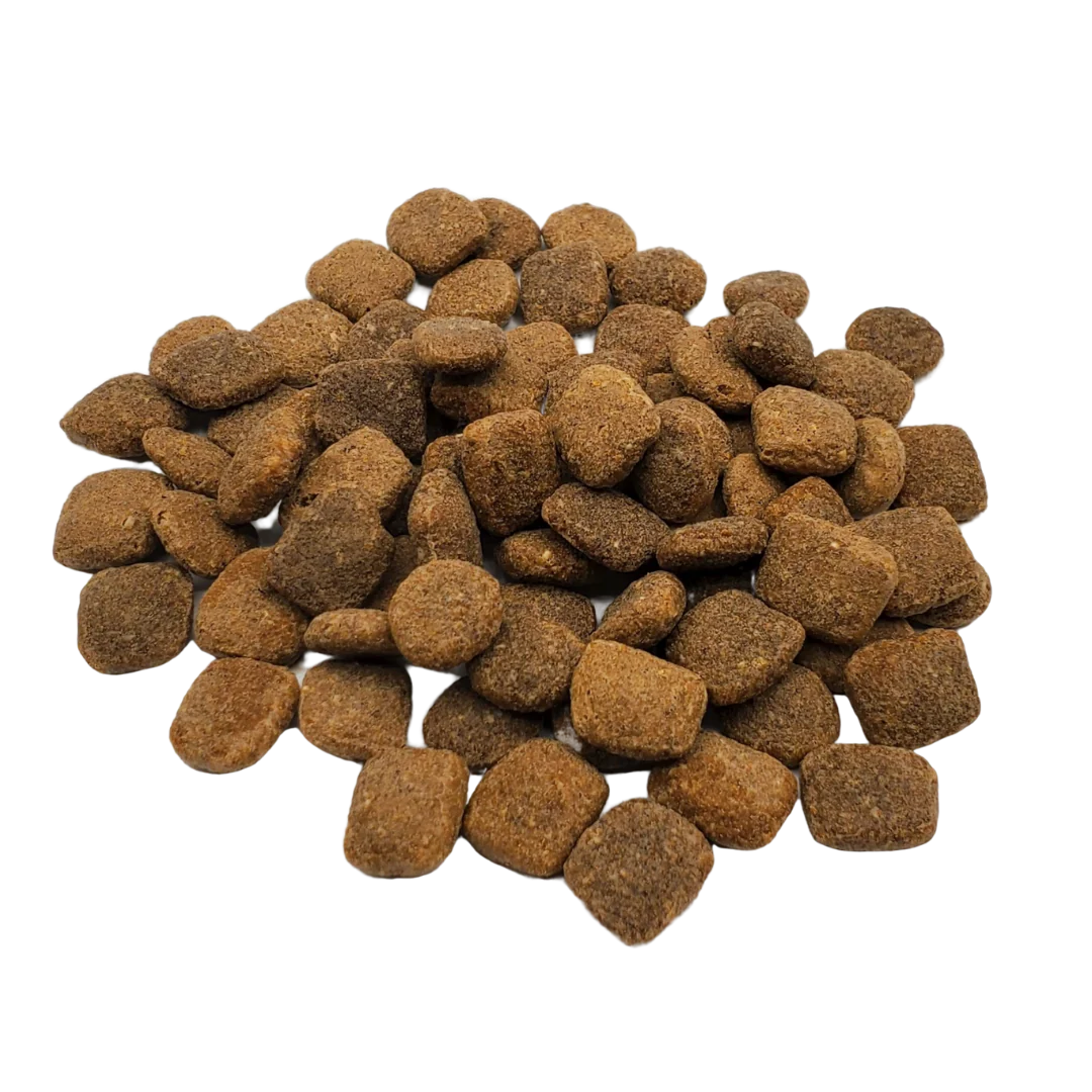 RAWZ SALMON, DEHYDRATED CHICKEN & WHITEFISH CAT FOOD RECIPE - Image 3