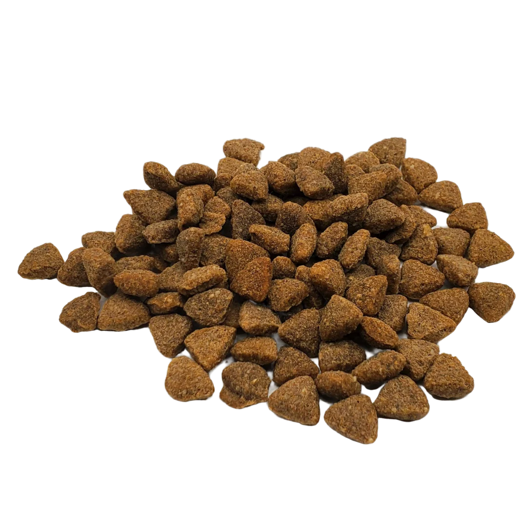 RAWZ SALMON, DEHYDRATED CHICKEN & WHITEFISH CAT FOOD RECIPE - Image 2