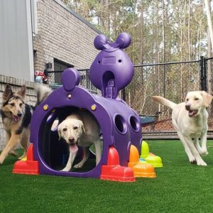 pet-boarding